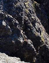 img20090120r.jpg